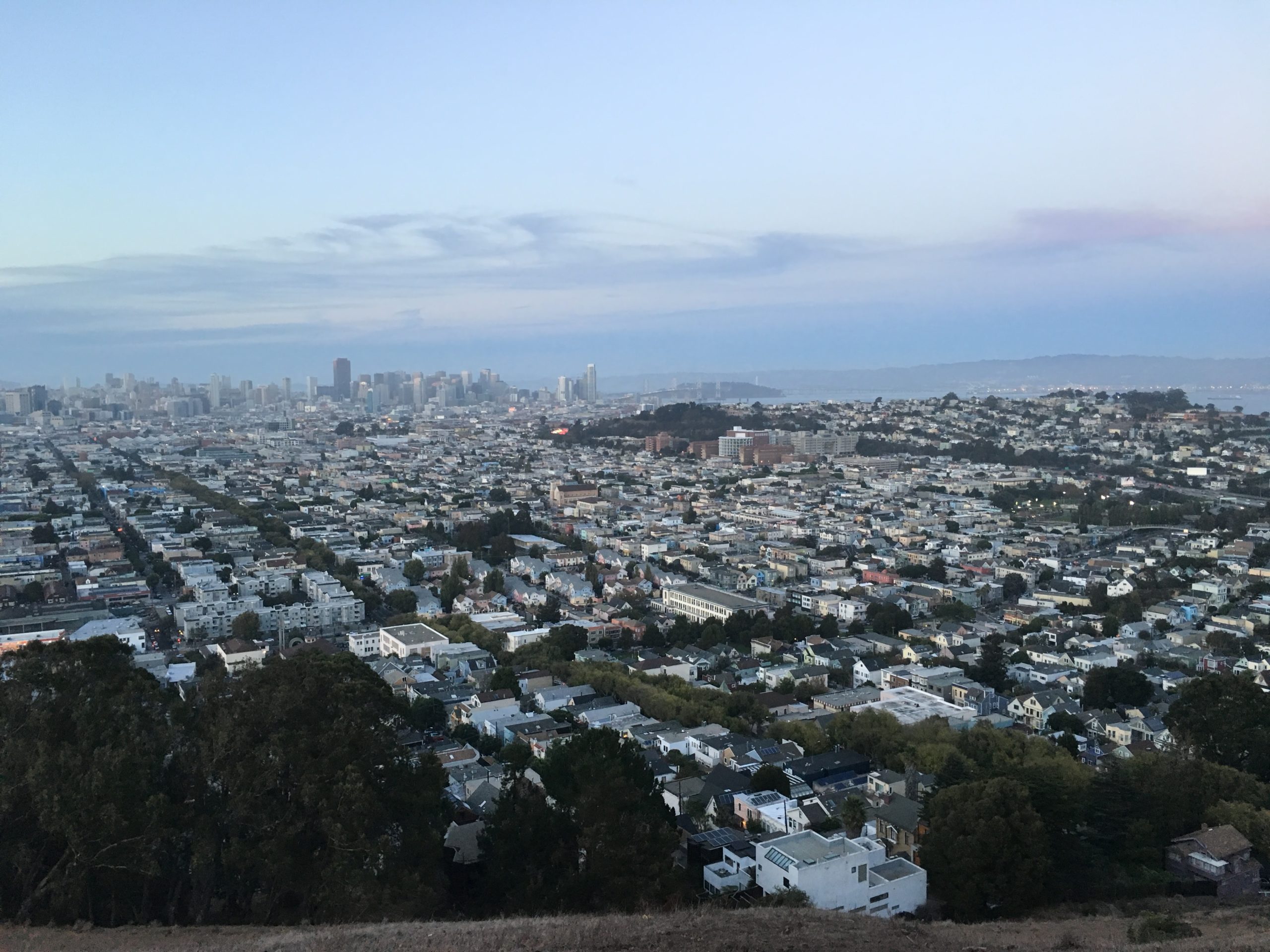Bird's eye view of San Francisco from Tank Hill Park